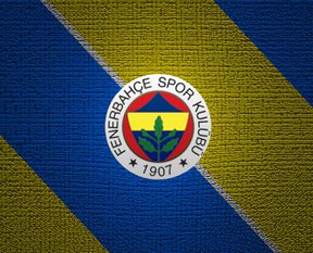 Kısmi yırtık şüphesi