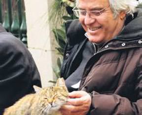 Kedilerin de sevgilisi