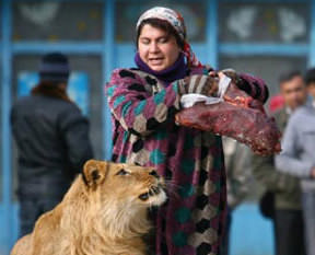 Yok artık diyeceksiniz!