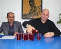 Organik şalgam