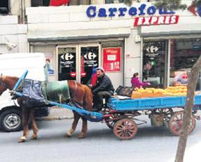 Ata'nın objektifinden