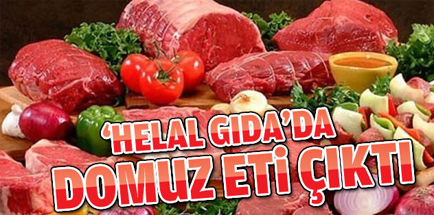 Helal gıdada domuz eti çıktı!