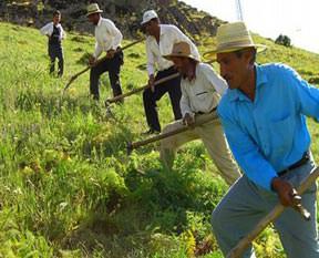 Çiftçiye kredi müjdesi geldi