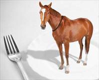 Tantuniye at eti girdi