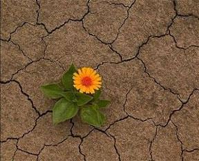 Dünya için karanlık