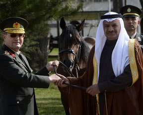 Arap atları Ankara'da