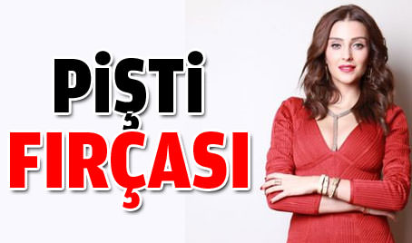 Pişti fırçası