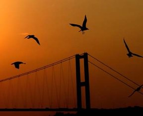 İşte 3. köprüden ilk fotoğraflar