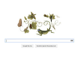 Google’dan Sibylla Merian doodle’ı