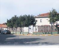 Horoz dalaşı