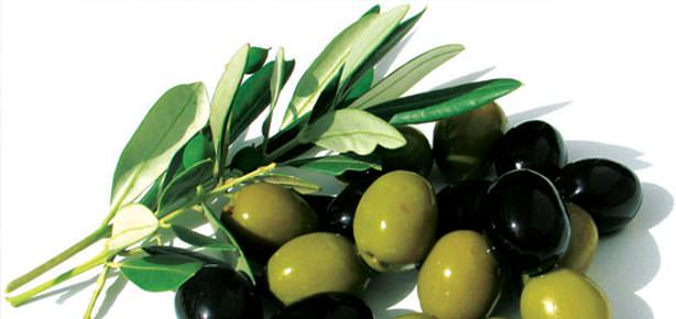 Mucizevi zeytin