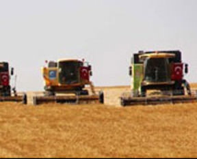 Bakan Şimşek'ten çiftçilere müjde