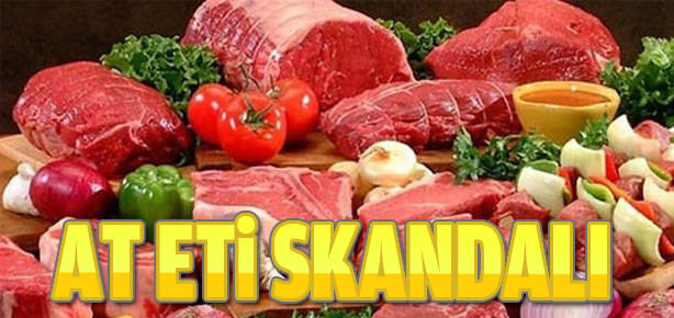 Hollanda’da at eti skandalı