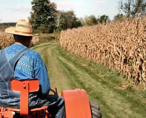 Çiftçiye 584 milyon lira