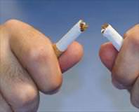 Kamyoncuya sigara serbest