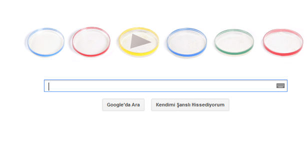 Google Julius Petri'yi unutmadı-2