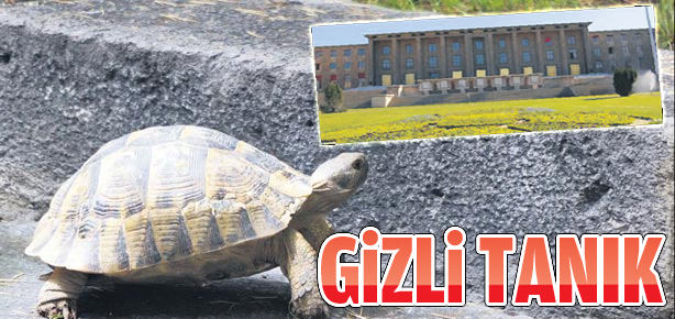 Gizli tanık