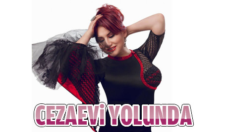 Deniz Seki'ye cezaevi yolu