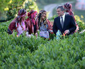 Gül, Rize'de çay hasadı yaptı