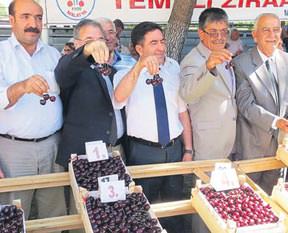 Yeşilyurt'ta kirazlar yarıştı