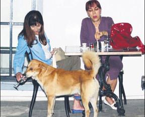 Altın kalpli Hümeyra