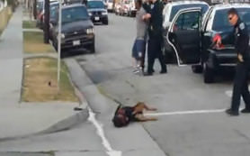 Polis köpeğe kurşun yağdırdı