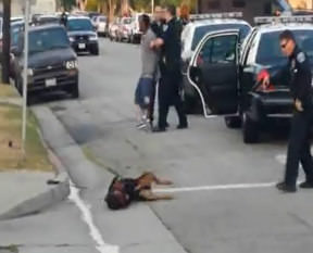 Köpeğe kurşun yağdırdı