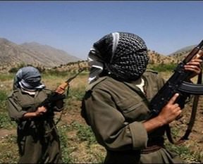 PKK Bitlis'te 3 kişiyi kaçırdı