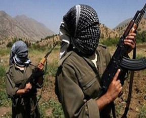 Şırnak'ta 8 PKK'lı teslim oldu