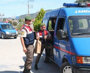 Portakallı kenevir