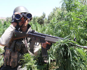 Diyarbakır'da dev operasyon