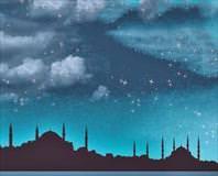 Ayıpları örtmekte gece gibi olun