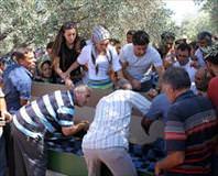 Güle güle şampiyon