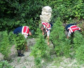 Dünya haritasını değiştirdik