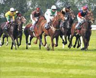 Veliefendi’de elektro şok