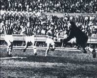 Ezeli rekabette 2 sportmen