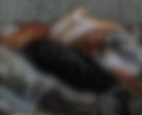 Dünya katliamı böyle gördü!