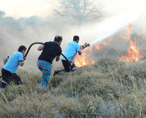Bodrum’da orman yangını