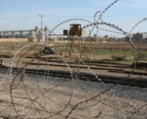 Ceylanpınar'da  4 kişi vuruldu