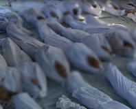 Suriye’den korkunç haber