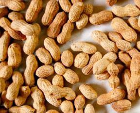 Cinsellik fıstık gibi