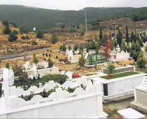 Taş kalpli provokatörler