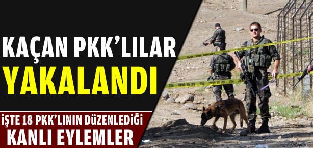 Kaçan PKK'lılar yakalandı
