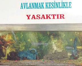Yurdumun ilginç uyarıları