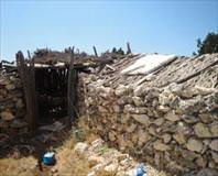 Falcıyı üçüncü karısı öldürdü