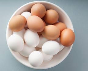 Yumurtanın gücü