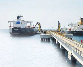 330 köy petrol buldu