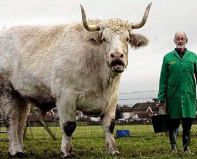 Fotoğraftaki mucizeye dikkat!