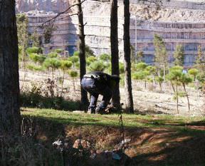 İstanbul'da mühimmat kazısı