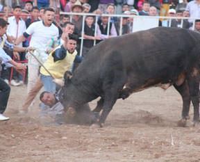 İspanya değil Aydın